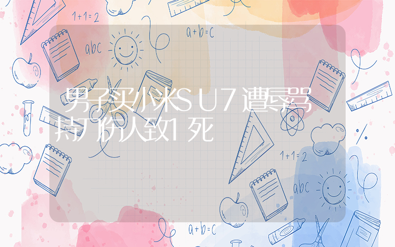 男子买小米SU7遭辱骂 持刀伤人致1死插图